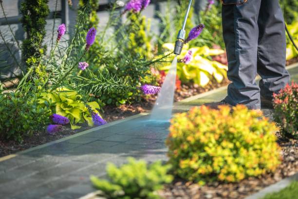 Best Gutter Cleaning  in Country Lake Estates, NJ